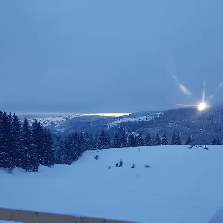 Morehead Pensionat *