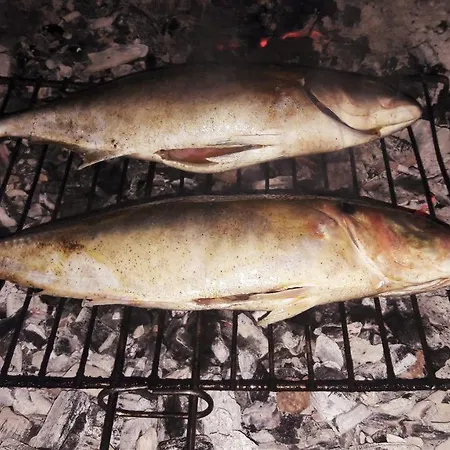 Pensionat Morehead *