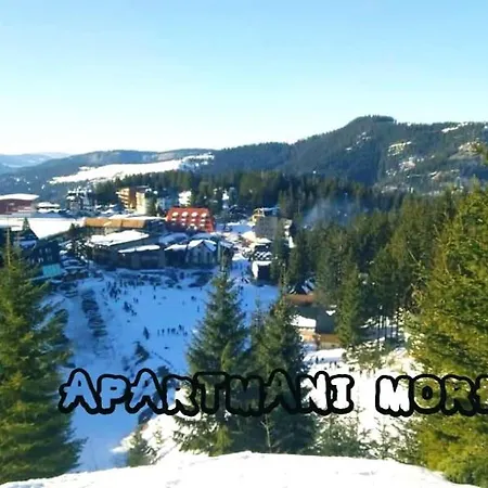 בית הארחה Morehead *